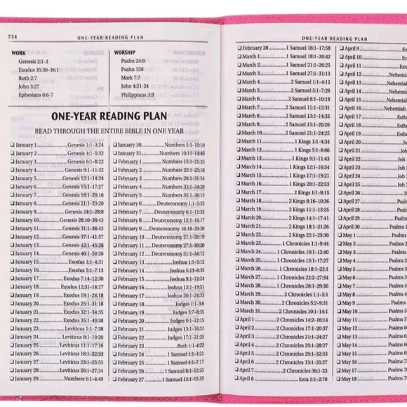 Pink Floral Embossed Holy Bible | Elegant Faith-Inspired Gift 🌸 - Picture 5 of 9